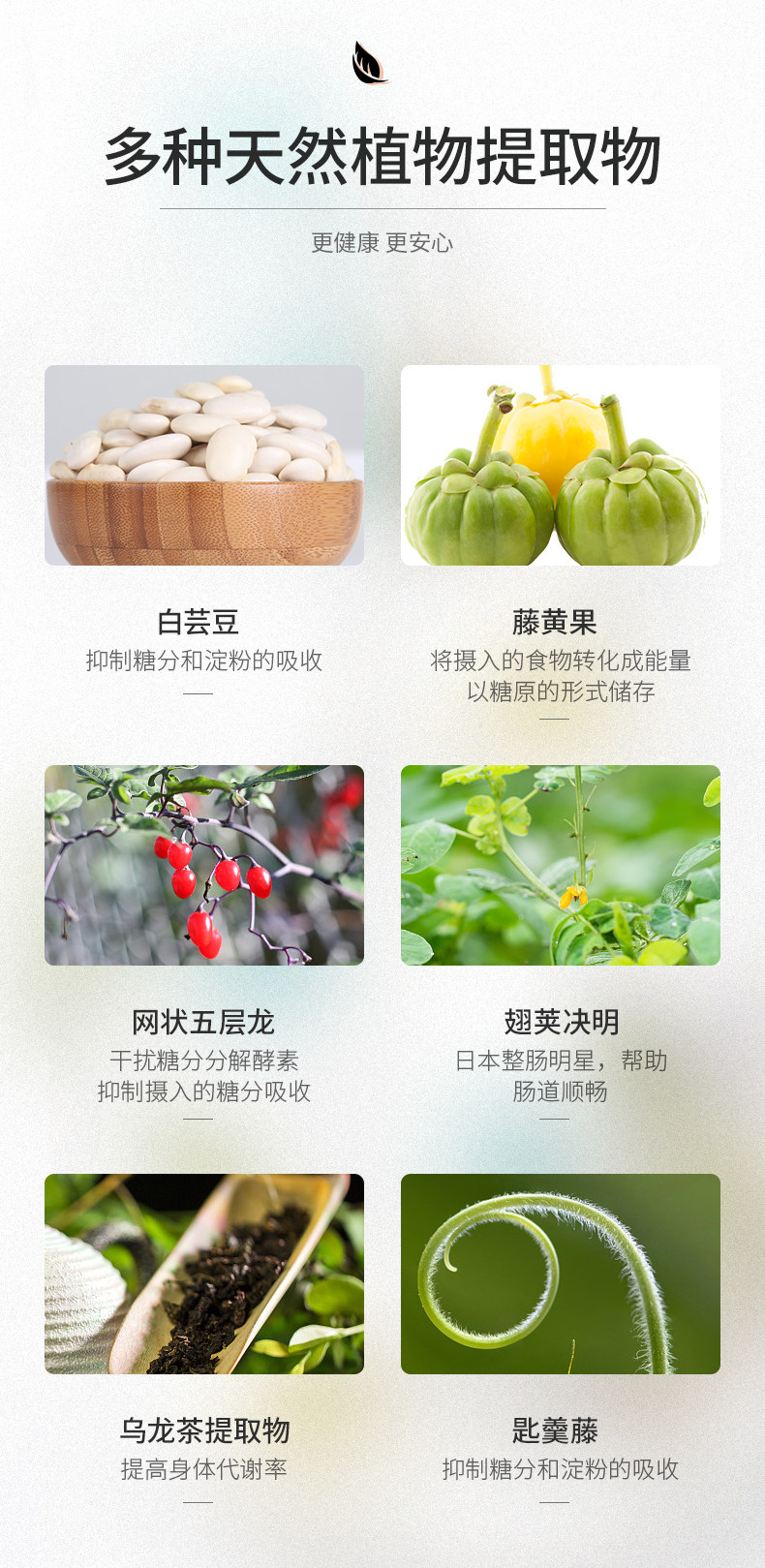 【日本直邮】陈数同款SVELTY丝蓓缇pakkun3倍糖分解酵母植物酵素56粒