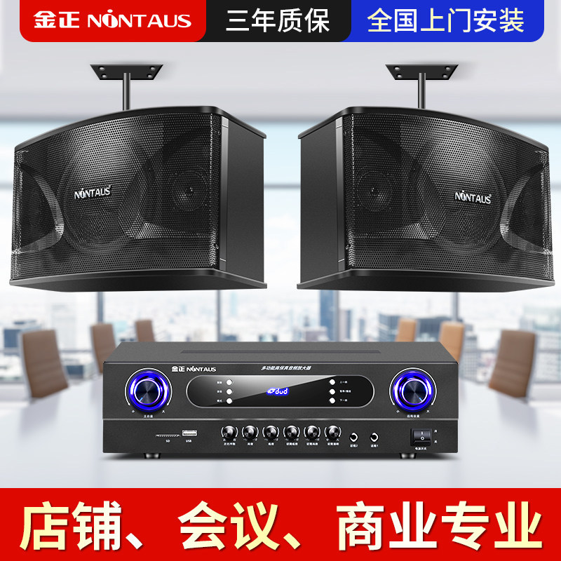 Commercial Heavy Bass Conference Professional Speaker Gym Dance Studio Home Karaoke Wall-Mounted Billiard Hall Surround Sound