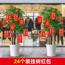 Small red envelope on the hanging tree Mini pendant New Year Decoration Fortune Tree Red Envelope pendant Creative Red Packet with red rope