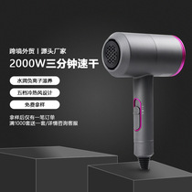Export Appliances Beauty Gauge 110V Electric Blow American Hammer Blow Cylinder High Power Negative Ion Hairdryer Canada