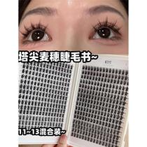 Tatip Blé Ears Eyelash Book Fake Eyelash Black Stalk Small Dense Demon Large Capacity Sectional single cluster EIYI eyelash