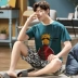 Cộng với phân bón XL nam ngắn tay bộ đồ ngủ cotton mùa hè mỏng phần thanh thiếu niên, trung niên người đàn ông béo 200 pound 300 pound Set Bộ đồ