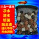 ຮູບຄົນຂອງຄອບຄົວ Liuhe ອຸປະກອນການກັ່ນຕອງນ້ໍາບໍລິສຸດທາງຊີວະເຄມີ