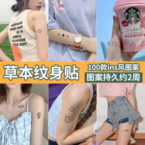 Hemu herb finger tattoo patch ins Wind semi-permanent female waterproof lasting simulation fairy cute chest small picture