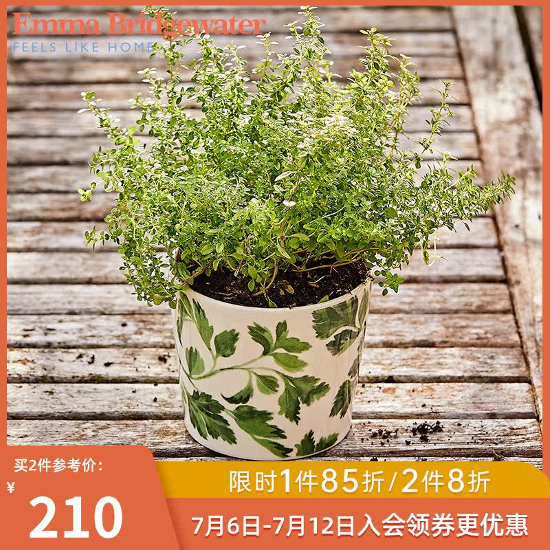 Emma Bridgewater Eu Cress Small Flower Pots Fields Garden Wind Handmade Ceramic Home Pendulum carpenter Heart