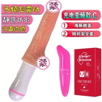 Модель зарядки+Dolphin+Set 1 Box