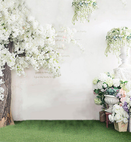 3D indoor photo studio photography background Taobao anchor live broadcast background cloth ins men's and women's clothing online shop clothing photo cloth