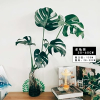 Стеклянный, 50-60см, 30см