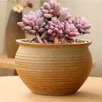 Большой дышащий ретро креативный цветочный горшок, орхидея