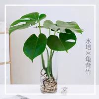 Бутылка, питательный раствор, 40см, 1 шт