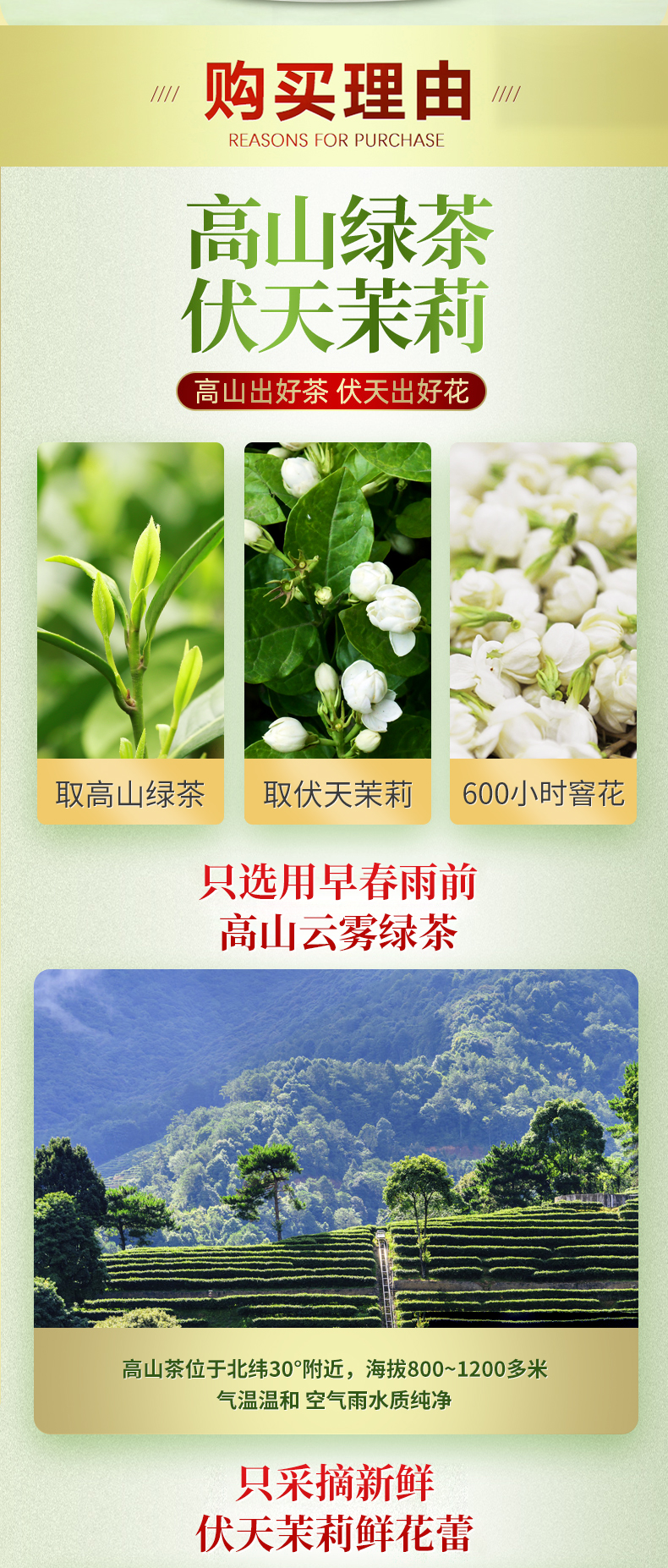 葛龙19新茶 浓香型茉莉花茶 125g罐装 图5