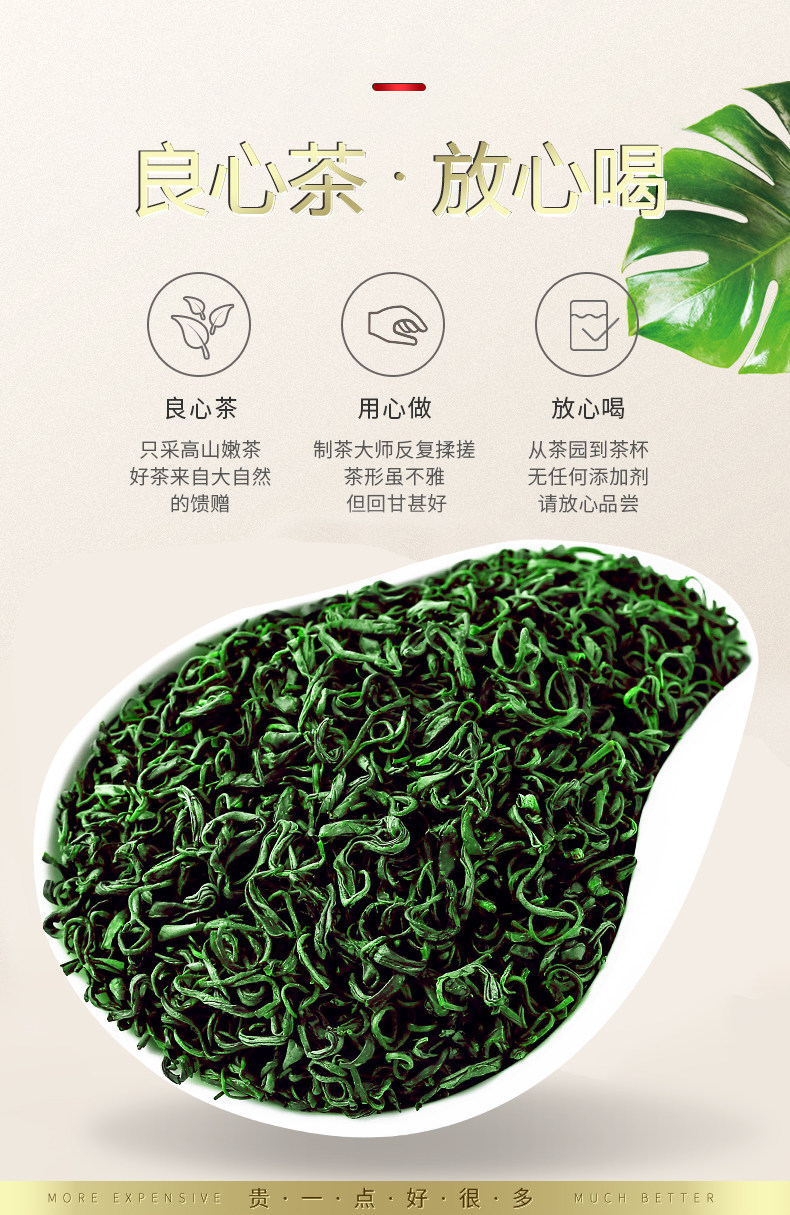 葛龙  高山云雾绿茶 500g 图4