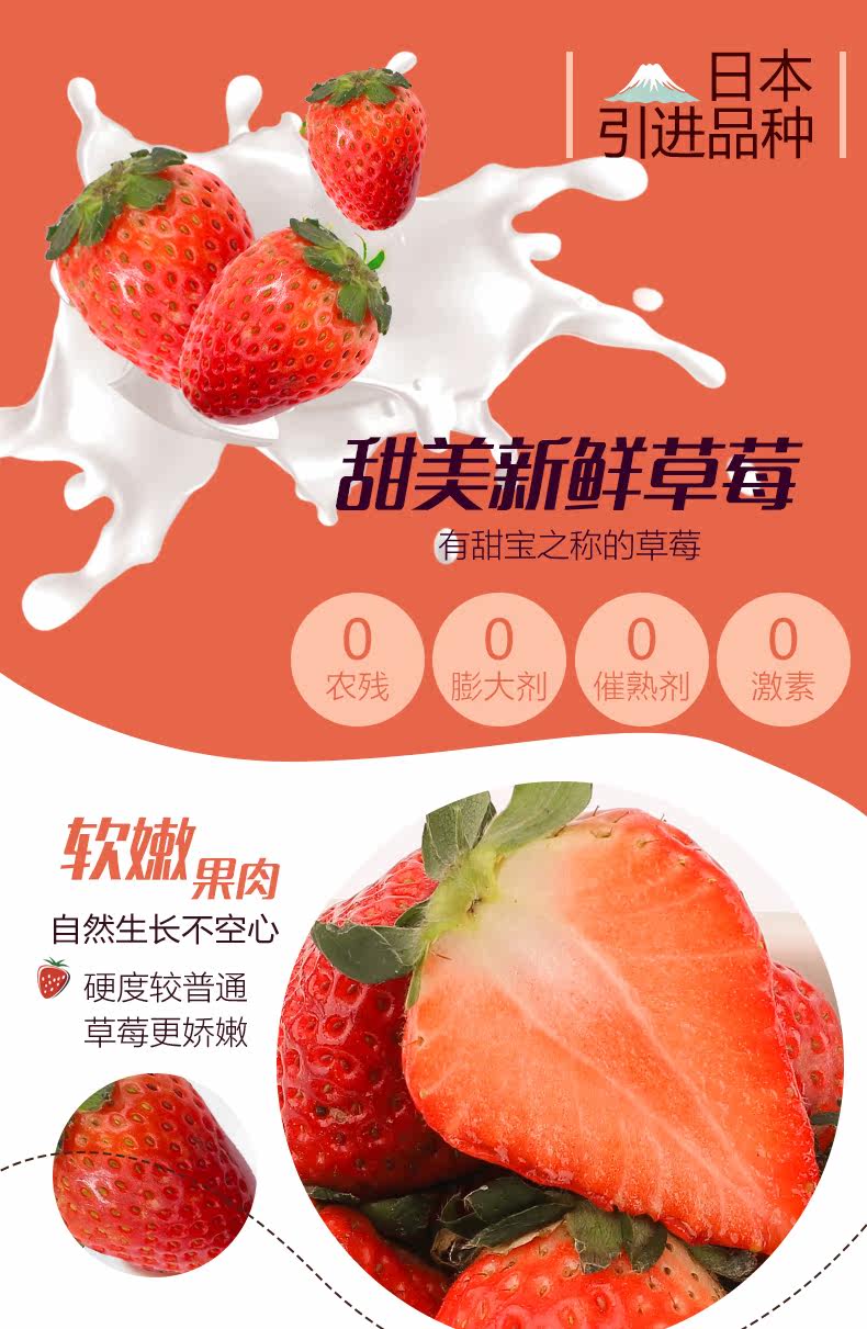 新鲜现摘奶油草莓 3斤 图2