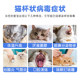 Pet Cat Calicivirus Test Paper Cat FCV Test Card Tears Fever I Sneezing Virus Test Card