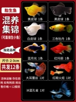 [Может быть непосредственно сырой маленькой рыбой]