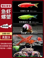 [Рыба+креветки+улитка+краб] Весь пакет цилиндров (всего 19)