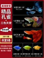 Комбинированный пакет Angel+Peacock Fish (всего 9)