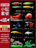 [Новое специальное предложение 6] Значение -значение небольшие цилиндрические пакет для отправки водных растений+крабов