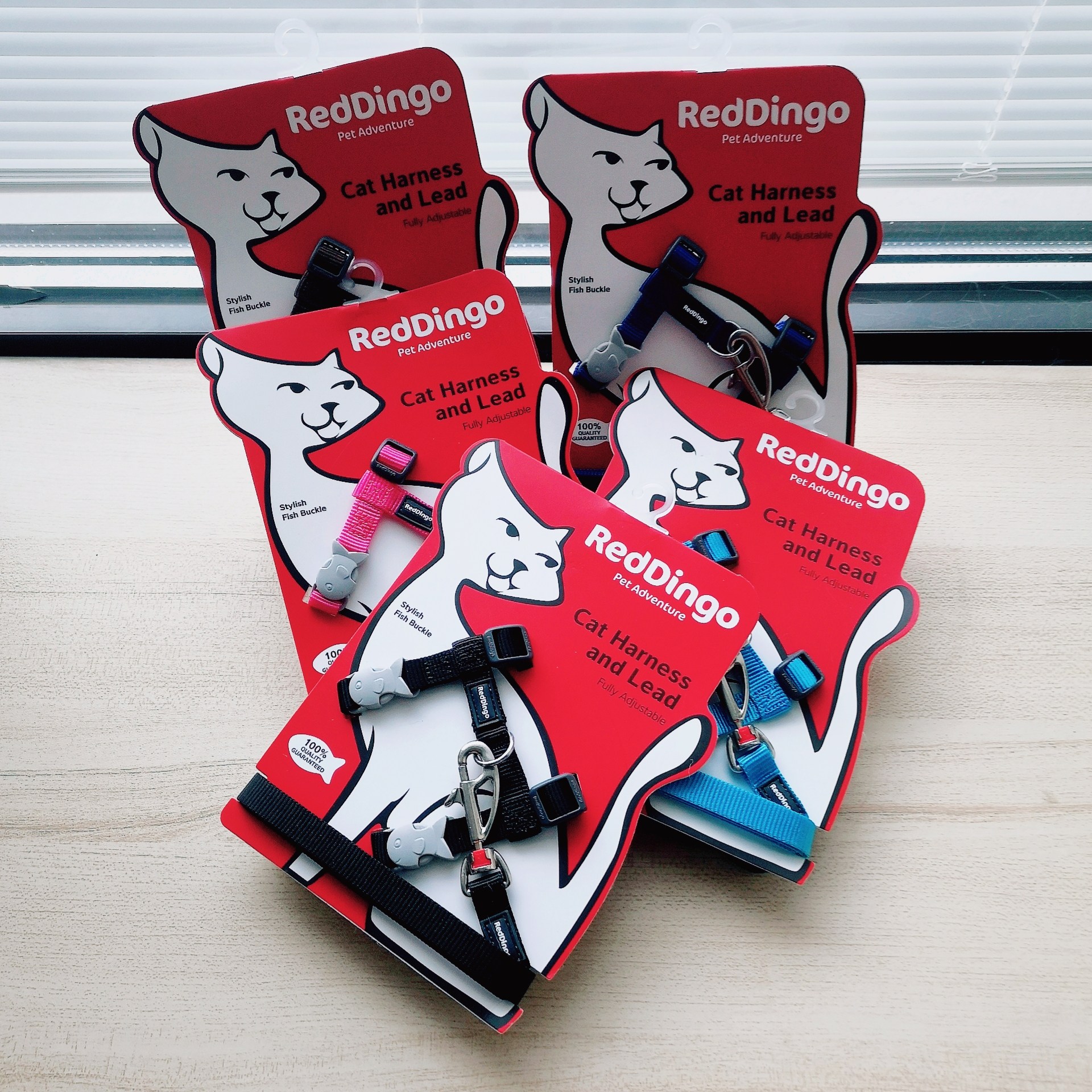 Huazhujia Laohantou recommends RedDingo cat to lead cat leash cat chest and back cat to go out and walk cat leash