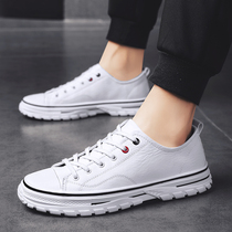 Leather white 2019 new spring and autumn mens shoes and Korean edition trend casual plate shoes bean mesh red student shoes