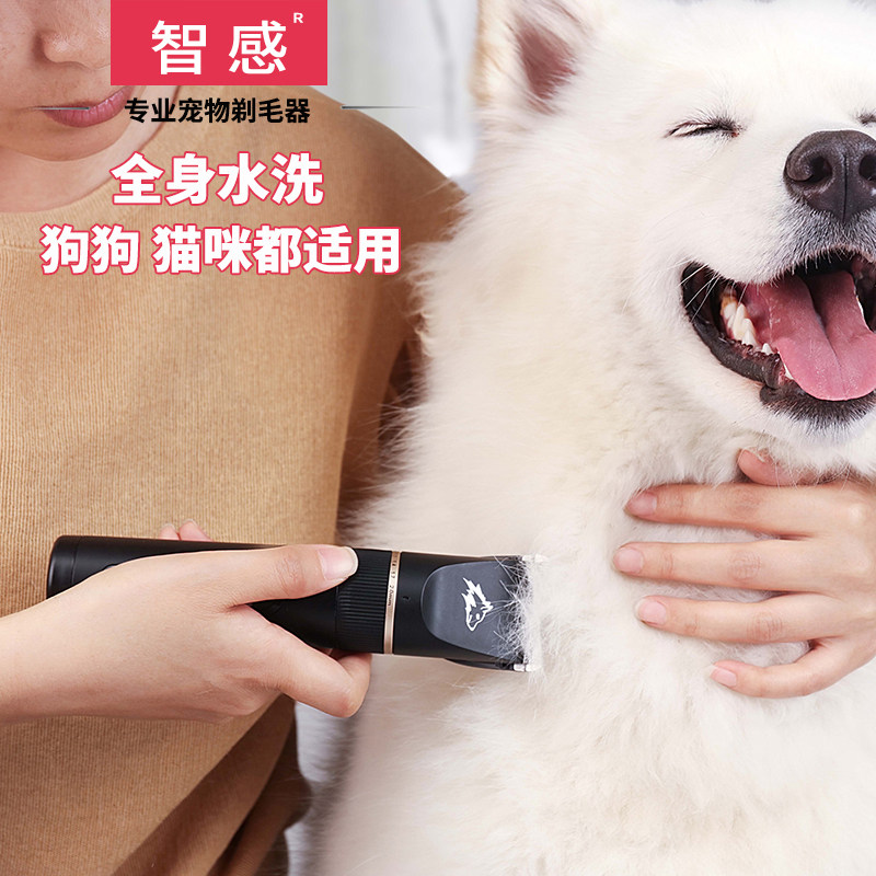 Professional pet-specific shaver electric clipper dog large dog electric clipper high-power golden retriever VIP hair