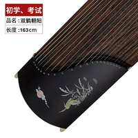 163 Shuanghe Chaoyang