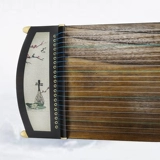 华飞 Гужэн -начинающий ученый Ученый Ученый Сяозхенг 21 Странный детский тест для взрослых музыкальный инструмент Гучжэн