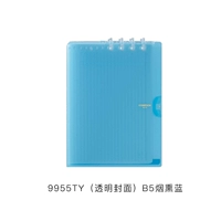 9955ty B5 Smoke Blue Blue