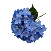 24 years of blue wedding path leading flower arrangements artificial flowers sky blue wedding hall welcome high ceiling decorative silk flowers