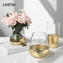 LIVETAI nordic ins golden light luxury glass vase modern transparent hydroponic cha hua ping home decoration