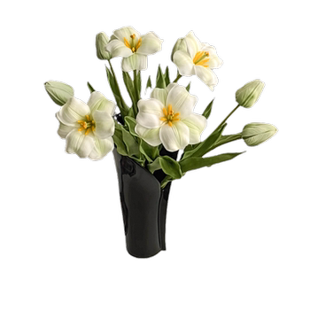 Living room tv cabinet entrance black vase ornaments