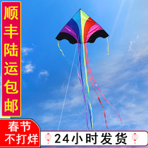 Kite Lord Special Upscale Large Mega 2021 New Children Breeze Easy Fly Manufacturer Direct Marketing Professional Class
