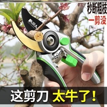  German imported gardening pruning scissors Fruit tree branch repair flower branch Garden floral branch scissors powerful fruit picking artifact