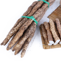 Wenxian loin soil iron bar yam thick long iron bar Huaishan 5 pounds pack Henan Jiaozuo farm fresh Huaishan
