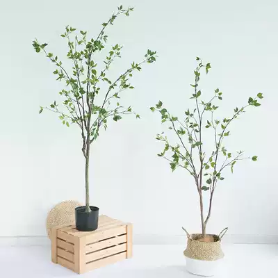 Large-scale Nordic green plant potted bean peat tree tree living room floor fake tree clothing store window layout simulation bonsai