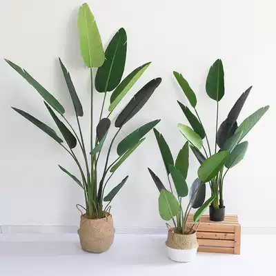Nordic Net red simulation traveler banana space display simulation green plant potted large floor decoration decoration simulation tree