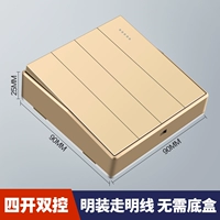 Четыре кайши двойной контроль