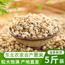 2020 Fresh barley rice 5 kg Barley kernels Yiren Red beans Red beans Barley porridge Northeast whole grains Whole grains