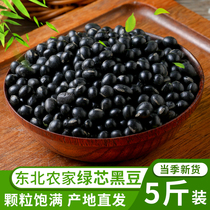 Northeast Qingren green heart black beans 5 kg Heilongjiang farmers own five-grain grains beans soy milk black bean vinegar bubble