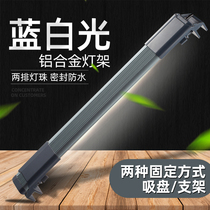 Fish tank light small bright bright LED light mini colorful fairy fish special light waterproof lighting water straw light