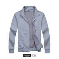 Модель чистого цвета/серая