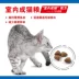 Royal Cat Food i27 Mèo trưởng thành trong nhà Thúc đẩy triệt lông Giảm khử mùi phân 2kg Garfield Cat Pet Pet Staple - Cat Staples