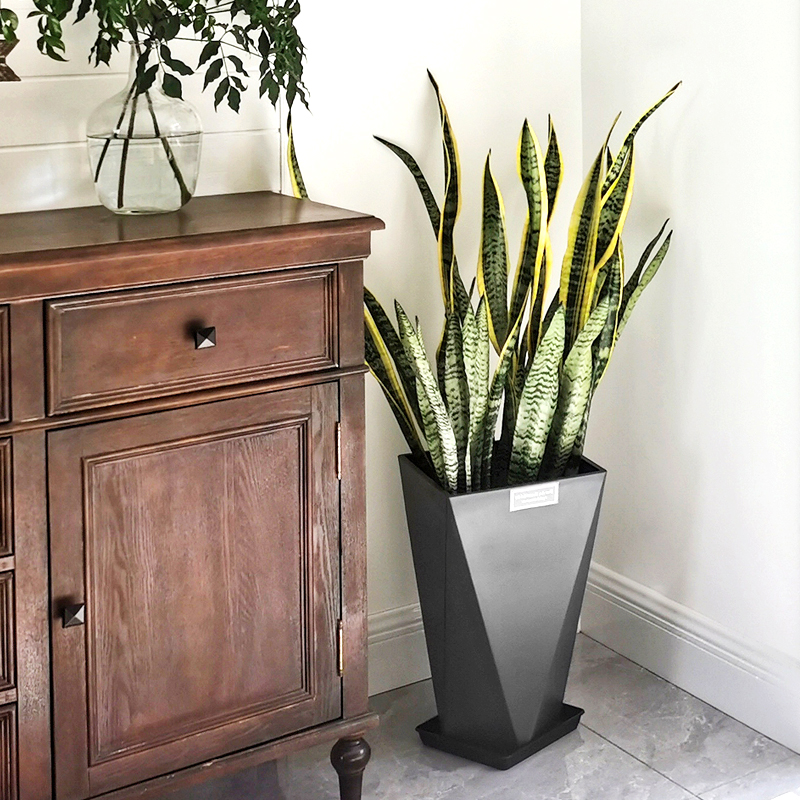 Nordic imitation cement simple flower pot paradise bird turtle back taro resin plastic floor flower pot large extra large living room