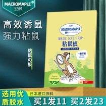 Rat stickup super power adhesive rat board catch large rat mucus clamp and kill rat-trap god-ware home for a nest end