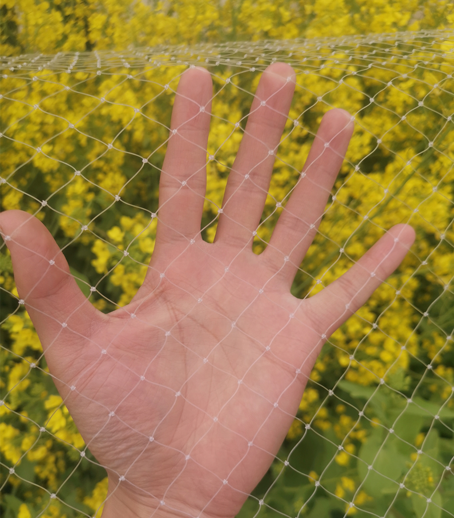 Nylon anti-bird net white transparent orchard fruit tree anti-bird net grape fish pond cherry tree anti-bird net fish pond breeding