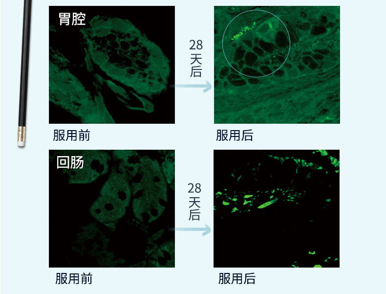 斯旺森 16种益生菌成人胶囊 60粒*2瓶 图6