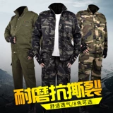  杩  僵 僵 僵  瀛 瀛 瀛 戠 戠 戠 ヤ 笂鐝  瑁 呮 埛 栧 鍦 鍦 姵 濆 楄 楄 楄 楄 楄