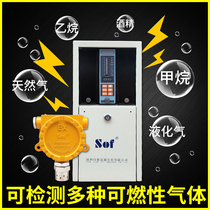 Industrial explosion-proof cable gas alarm detector natural gas high-temperature liquefied gas concentration detector