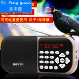 GE GE изучает попугайку, учебную машину, брат, машина для записи машины для записи, машина для обучения птиц