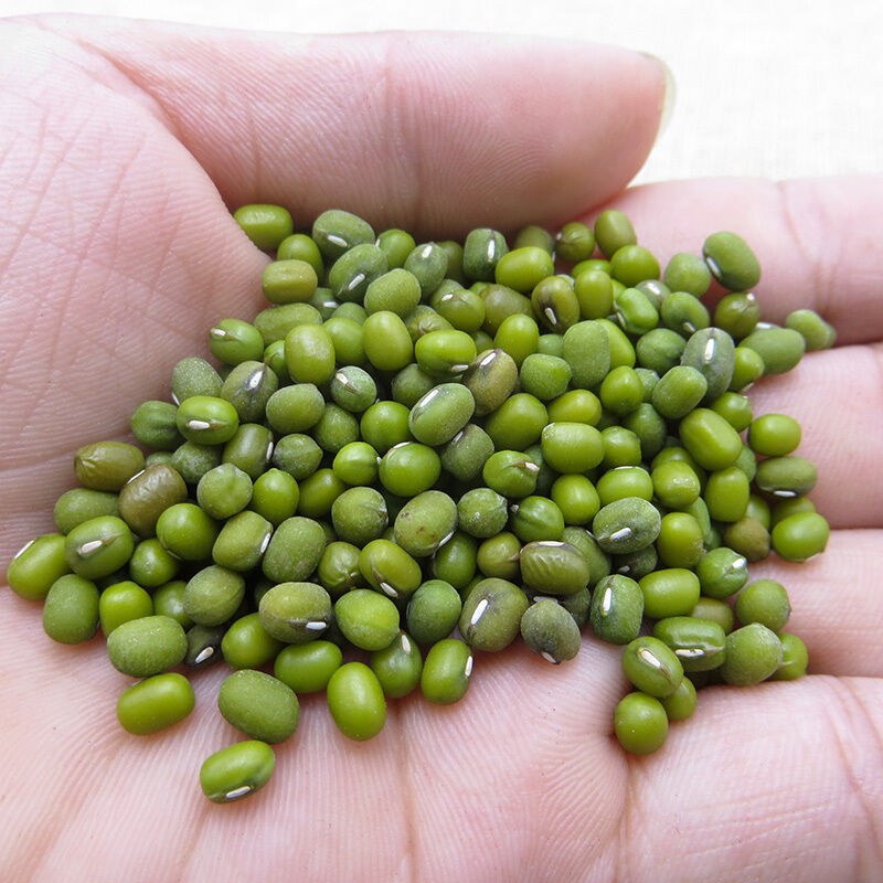 Зеленая Фасоль Для Поке Купить